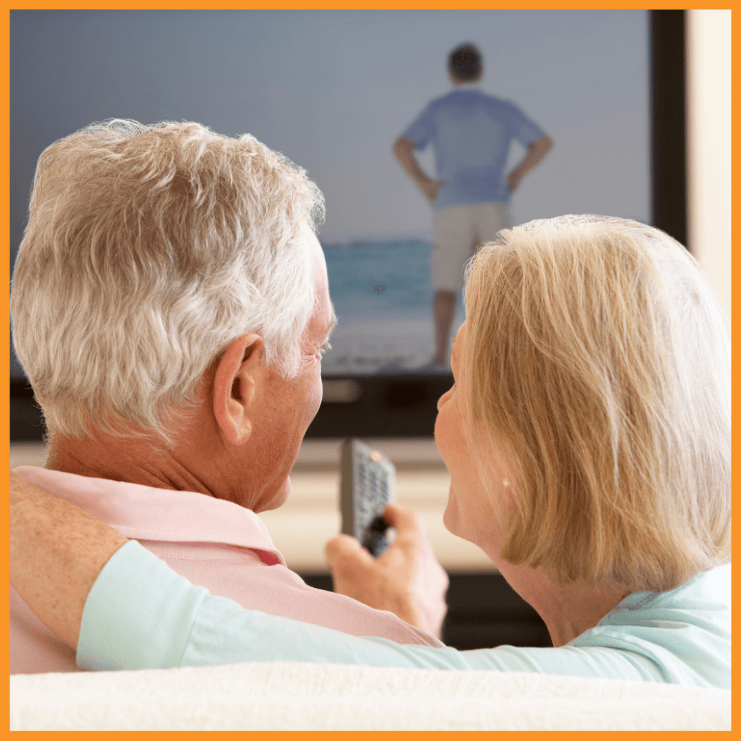 Professional television service for government facilities